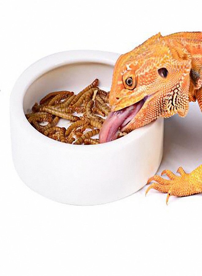 OMEM Worm Dish Mini Reptile Food Bowl Ceramics Made Mealworms Bowls Anti-Escape for Lizard Gecko Leopard Bearded Dragon (M) - Image 1